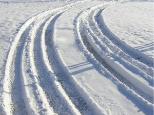 Tracks in the snow