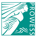 Prowess Awards logo